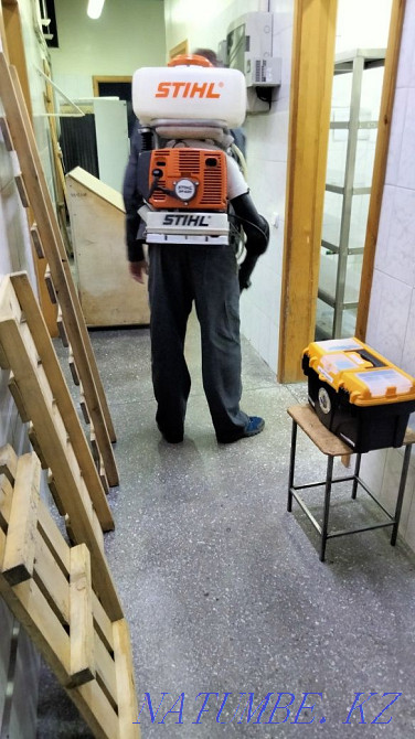 Дезинфекция клопов Уничтожение насекомых г. Петропавловск Петропавловск - изображение 6