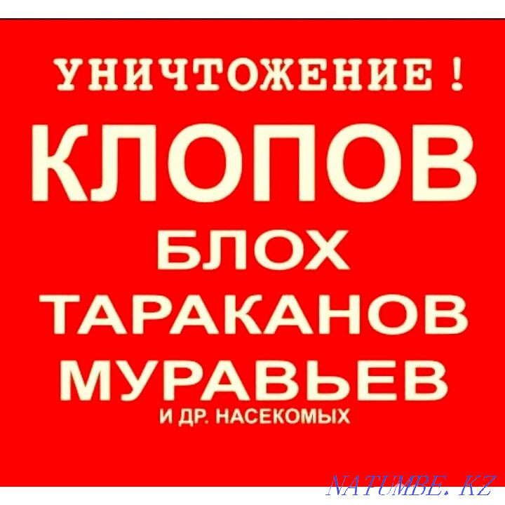 Disinfection Disinsection Deratization Deodorization Taraz - photo 2