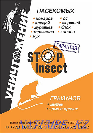 Disinsection Disinfection Bedbugs Cockroaches Fleas Mice Rats Mosquitoes Temirtau - photo 3