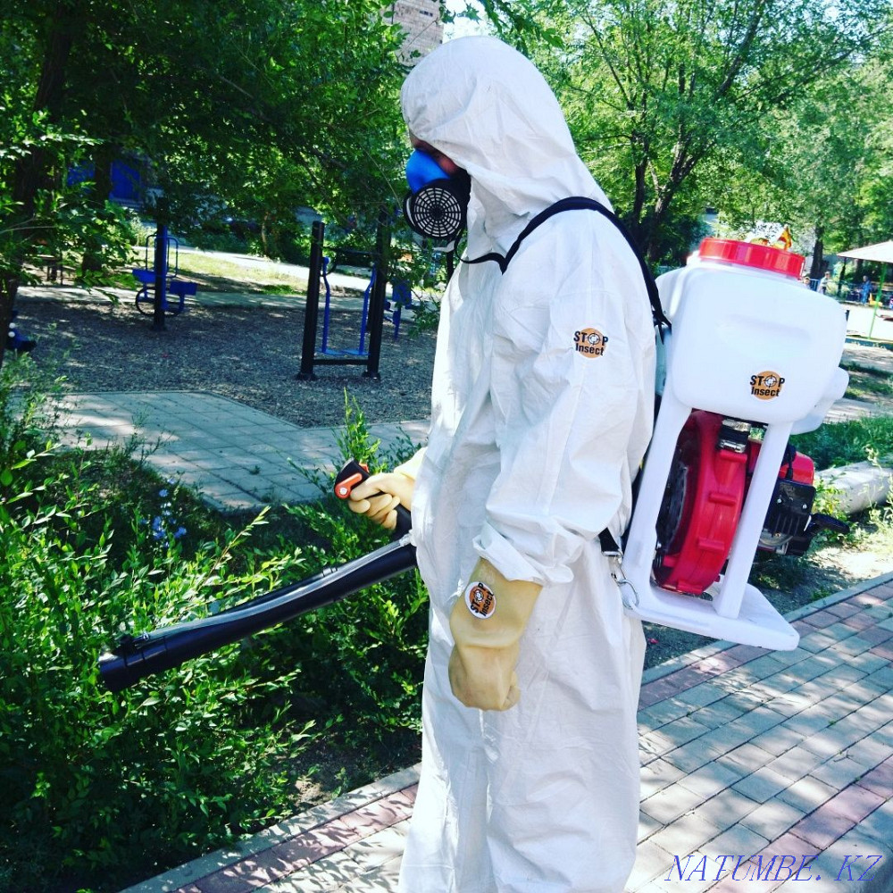 Дезинсекция Дезинфекция Төсек құрттары тарақандар бүргелер Тышқандар егеуқұйрықтар Масалар  Теміртау - изображение 5