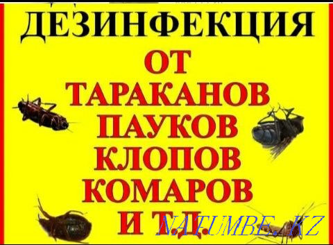 Дезинфекция, СУЫҚ ТҰМАН! Сапалы түрде. Кепілдік!  Алматы - изображение 2