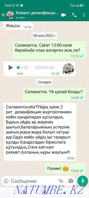 Taraz Disinsection. Disinfection. Deratization Taraz - photo 5