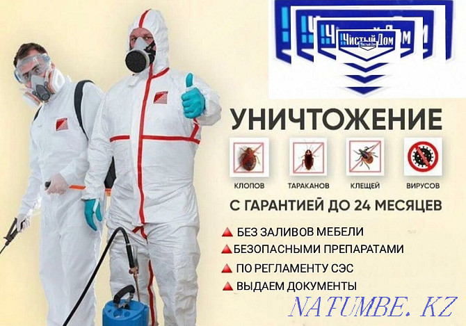 Disinfection with a 100% guarantee in Taraz Taraz - photo 1