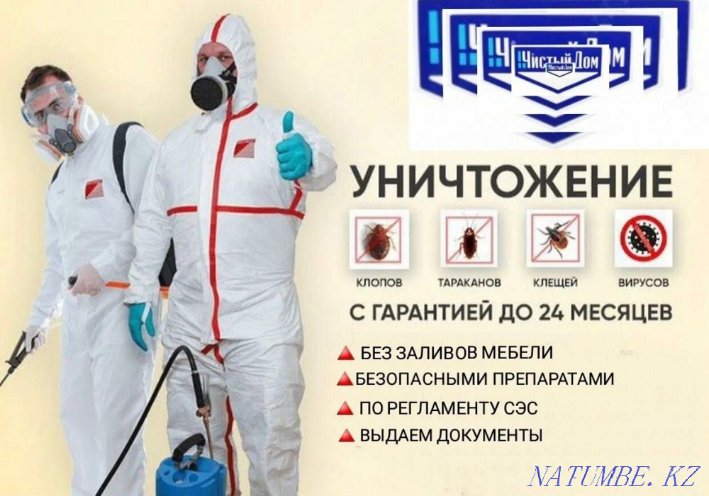 Disinfection with a 100% guarantee in Taraz Taraz - photo 1