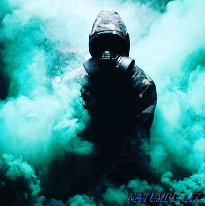 КЛОПЫ Тараканы Дезинфекция Конаев - изображение 1