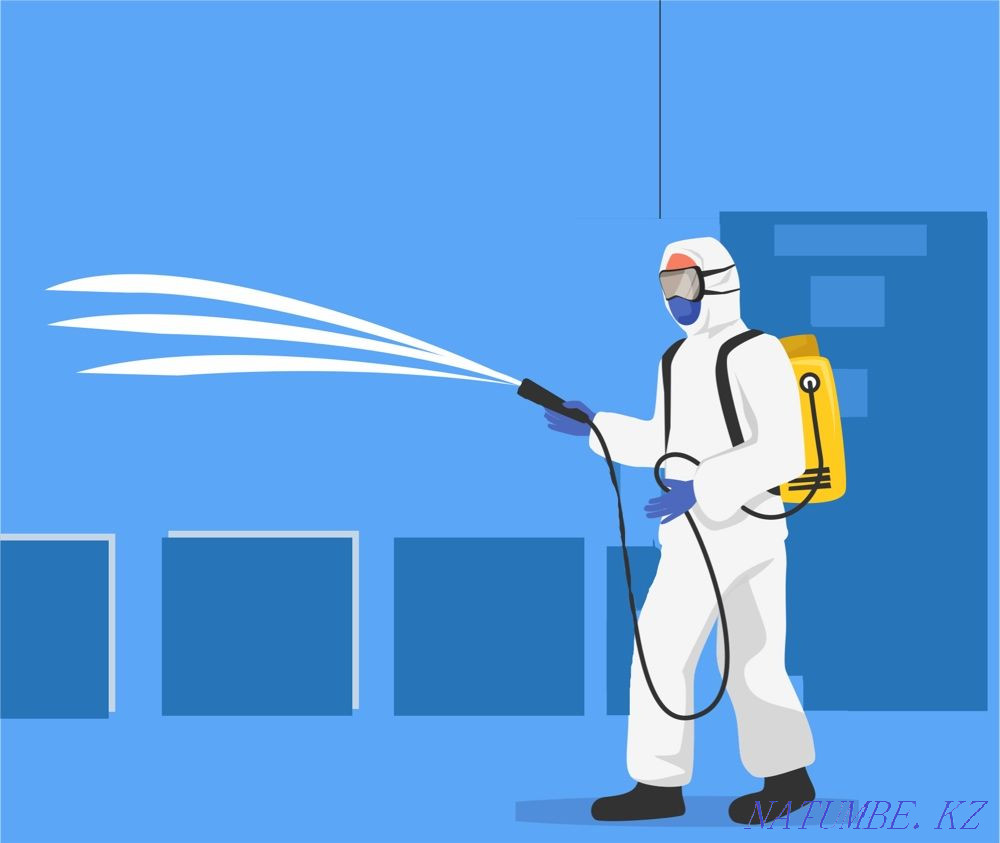 Дезинфекция, дезинсекция Кызылорда - изображение 1
