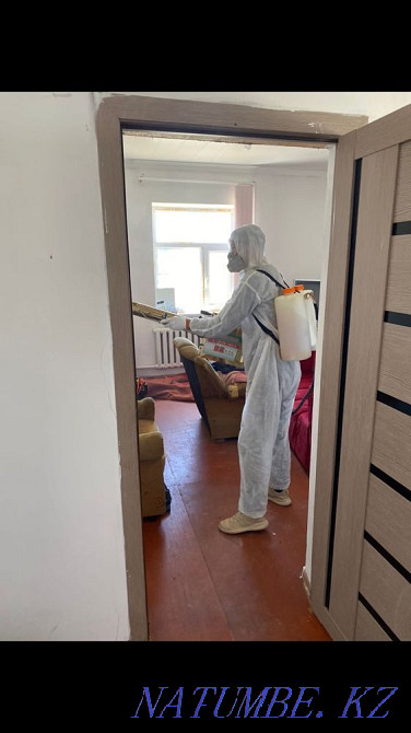 Дезинфекция, дезинсекция Кызылорда - изображение 3