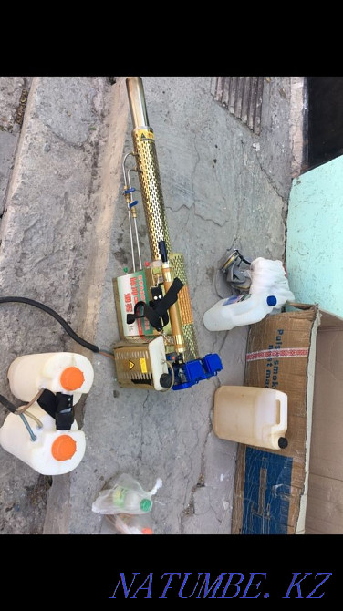 Дезинфекция, дезинсекция Кызылорда - изображение 2