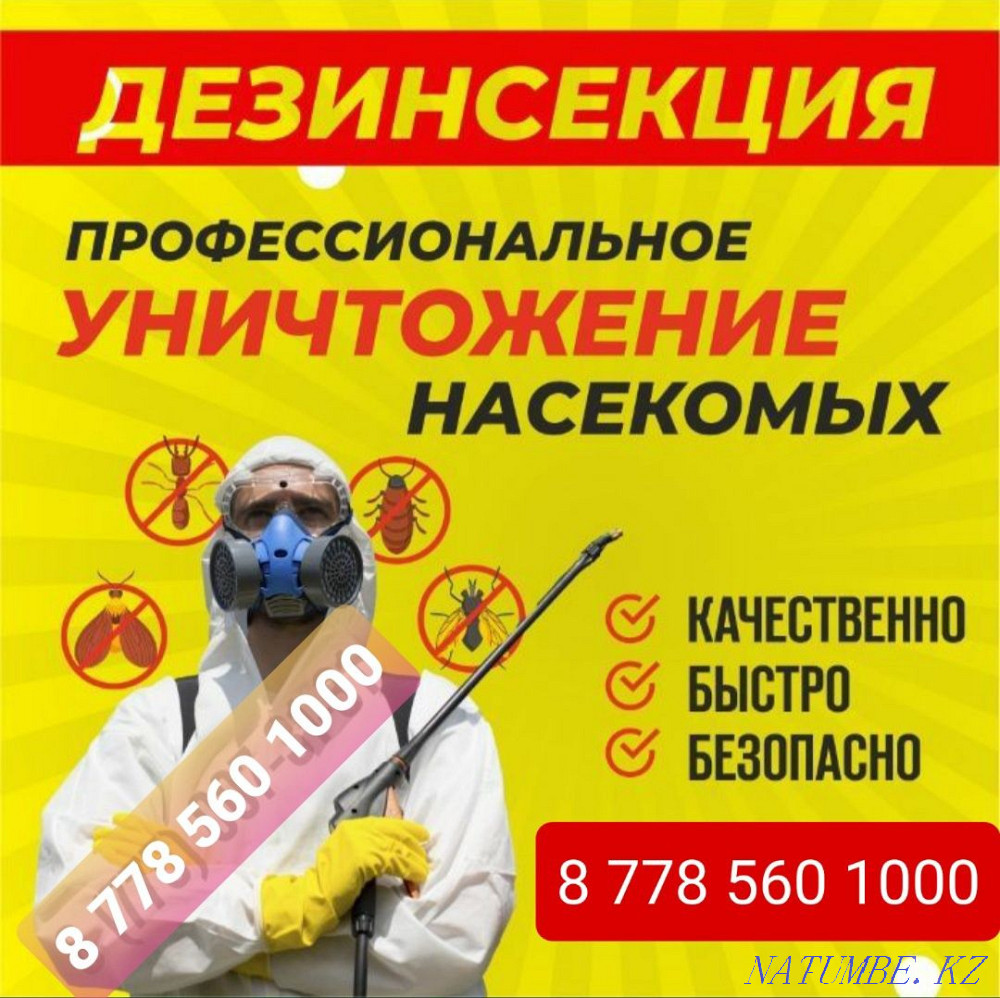 Disinfection from insects Aqtau - photo 1