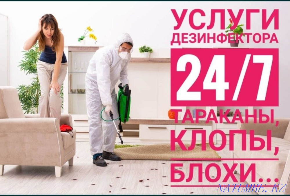 Таразда дезинфекция  Тараз  - изображение 1