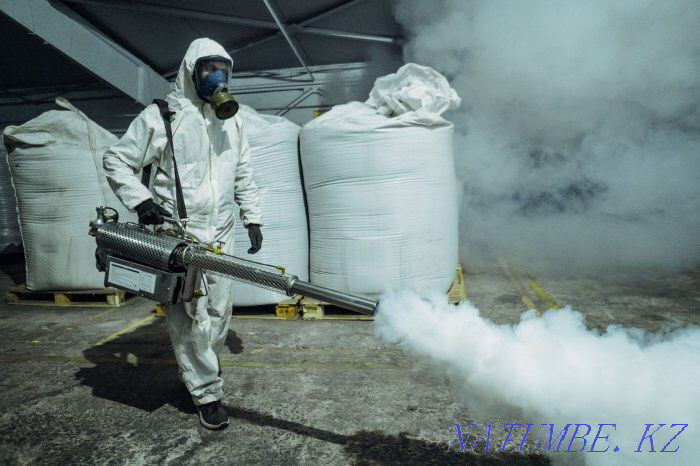 Дезинфекция дезинсекция дератизация Кызылорда - изображение 3