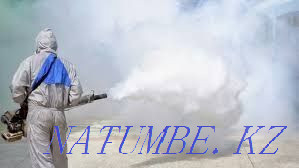 Дезинфекция дезинсекция дератизация Кызылорда - изображение 4