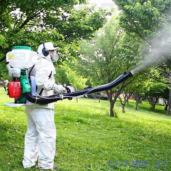 Disinfection of bedbugs Destruction of insects in Taraz Taraz - photo 3