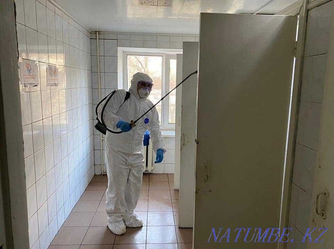 Disinfection of bedbugs Destruction of insects in Taraz Taraz - photo 4