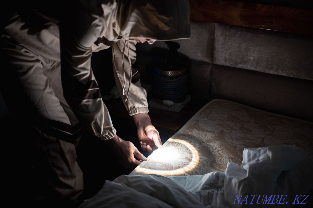 Disinfection and pest control Almaty - photo 3