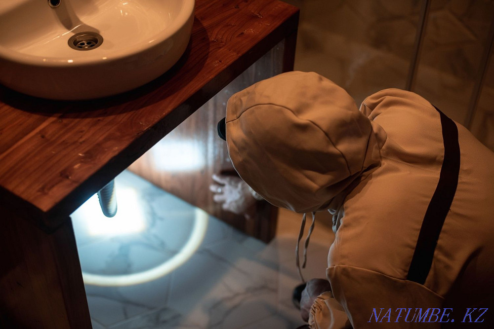 Disinfection and pest control Almaty - photo 1