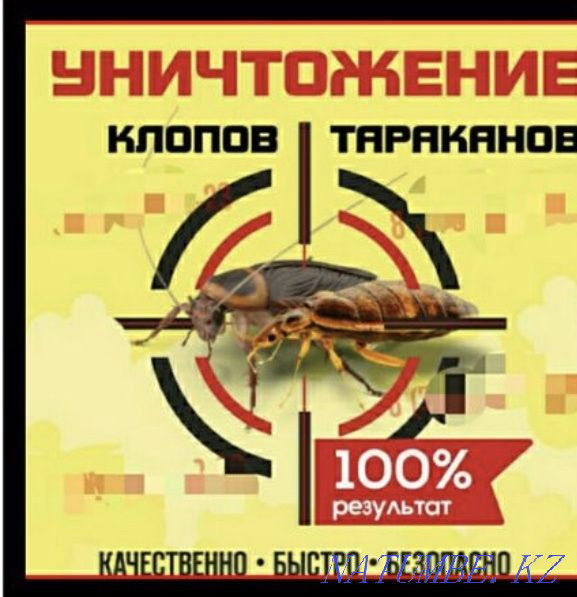 Disinfection Taraz Taraz - photo 1