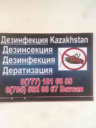 Дезинфекция Казахстан  отбасы 