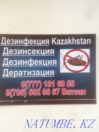 Disinfection Kazakhstan Semey - photo 3