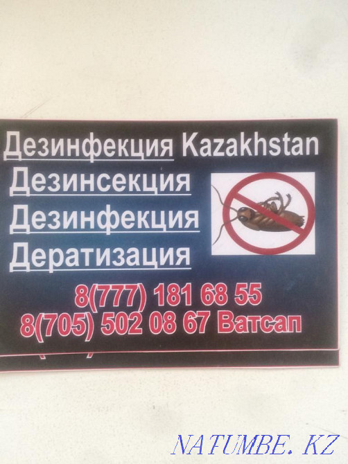 Дезинфекция Қазақстан  отбасы  - изображение 3