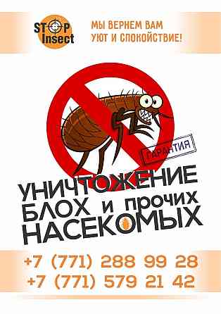 Дезинсекция Дезинфекция Дератизация клопы тараканы мыши блохи комары Karagandy