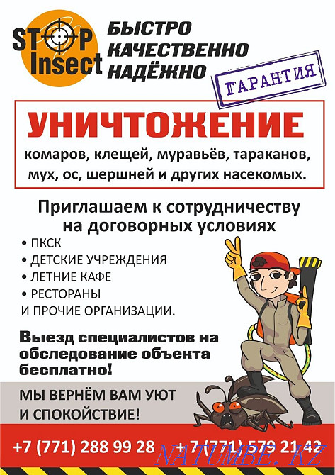 Disinsection Disinfection Deratization bed bugs cockroaches mice fleas mosquitoes Karagandy - photo 1