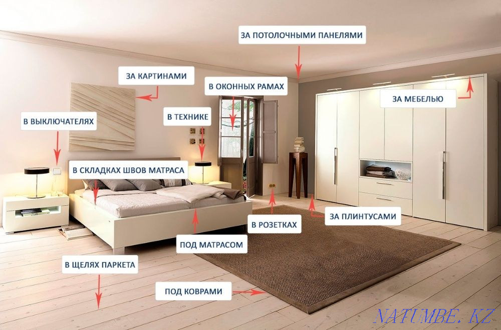 уничтожение клопов, тараканов, грызунов, дезинфекция помещений Астана - изображение 1