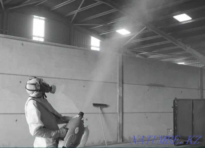 Дезинфекция уничтожение клопов кандала тараканов крыс Алматы - изображение 2