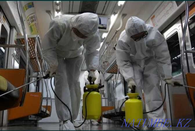 Дезинфекция уничтожение клопов кандала тараканов крыс Алматы - изображение 3