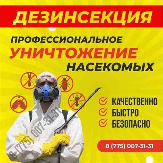 дезинфекция Уничтожение клопов ,тараканов, дезинфекция крыс Almaty