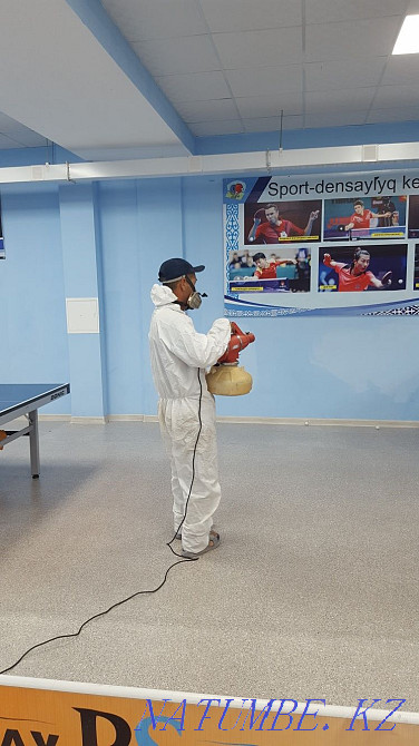 Дезинфекция дезинсекция  - изображение 2