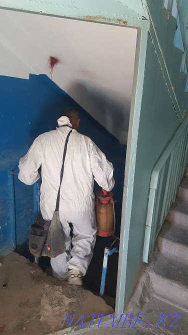 Дезинфекция дезинсекция  - изображение 3