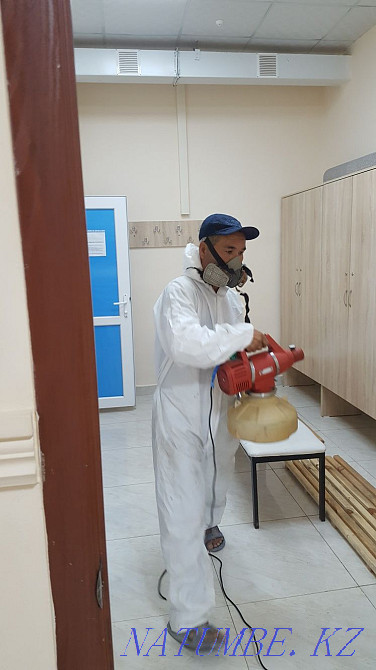 Дезинфекция дезинсекция  - изображение 1