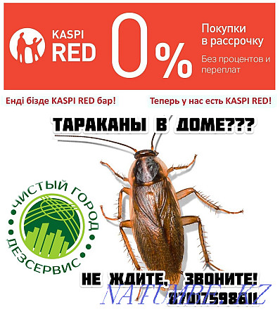 Дезинфекция по договору, есть KASPI RED Атырау - изображение 1