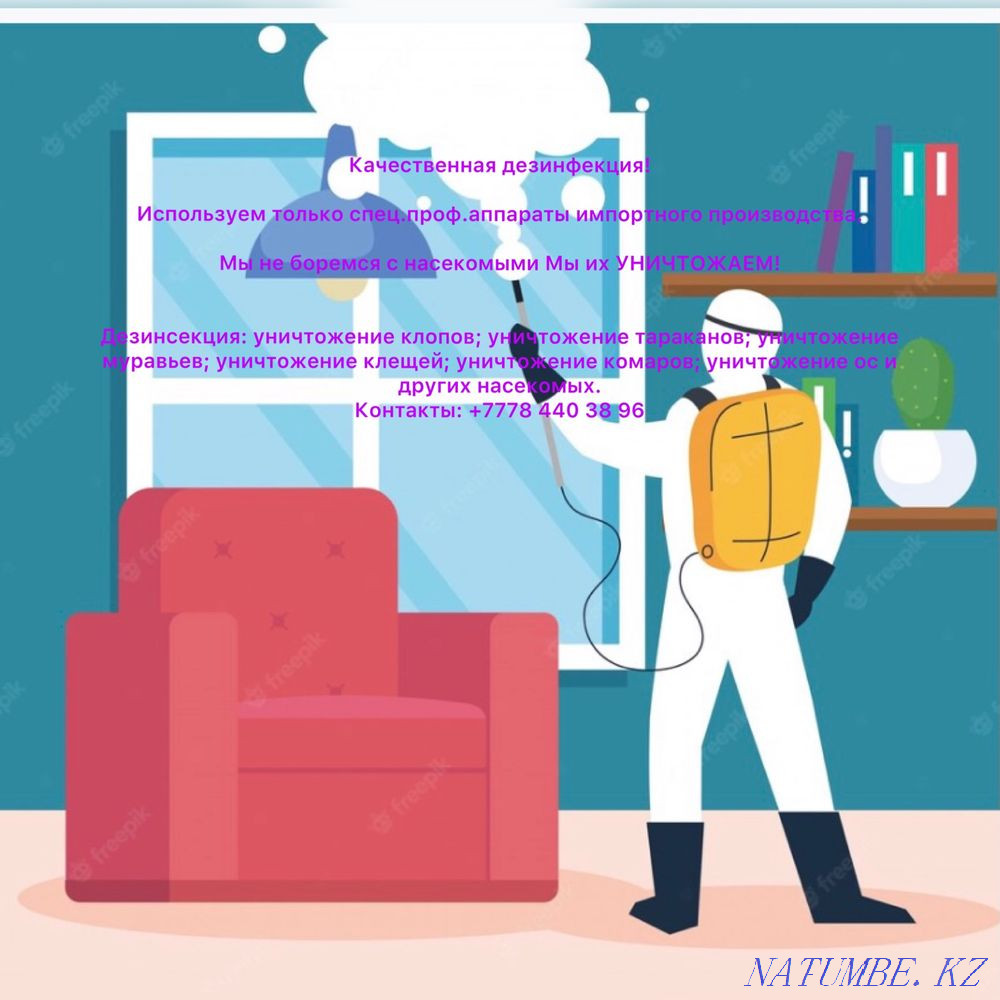 Disinfection Shymkent - photo 1