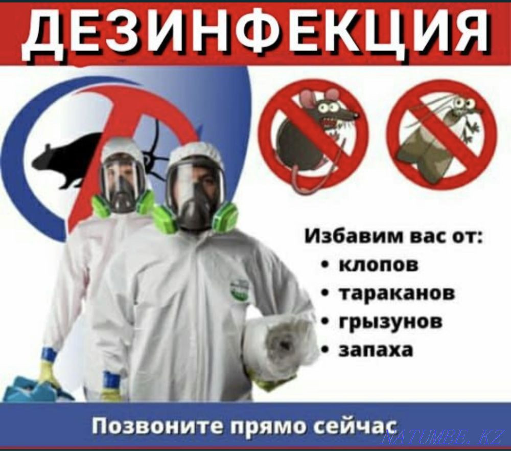 Дезинфекция Тараз - изображение 1