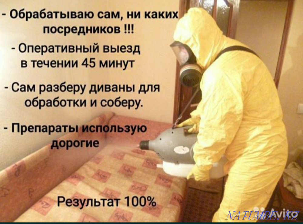 Destruction of bedbugs cockroach ants Almaty - photo 1