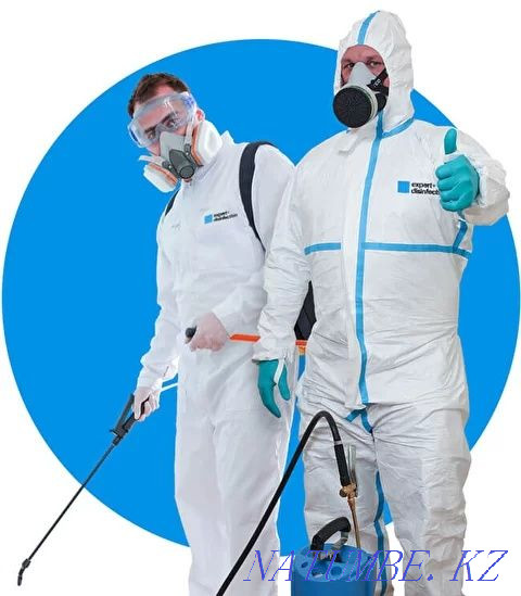 Disinfection bed bugs cockroaches Aqtobe - photo 1