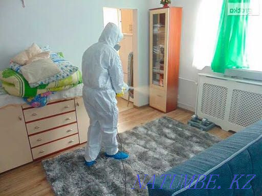 Надежная Дезинфекция Петропавловск - изображение 1