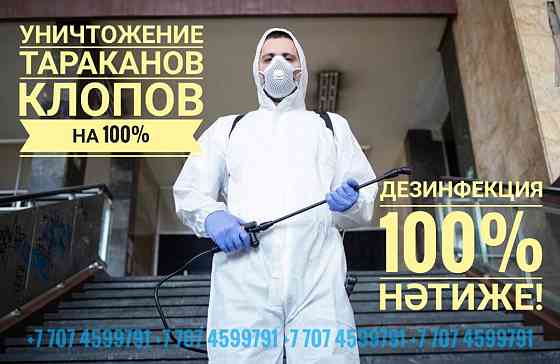 Травля тараканов, клопов! Дезинфекция помещении. Гарантия+экономия!!! Almaty