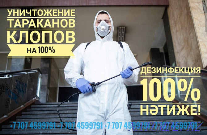 Harassing cockroaches, bedbugs! Room disinfection. Warranty + Savings!!! Almaty - photo 1