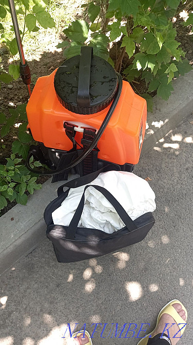 Дезинфекция всех видов насекомых Алматы - изображение 1