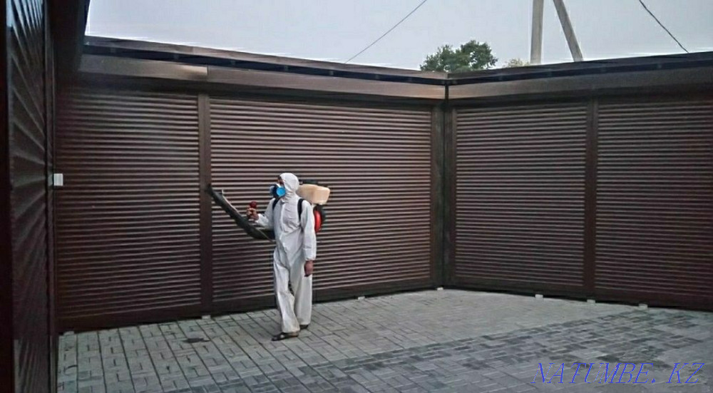 Disinfection / disinsection / deratization Kostanay - photo 2