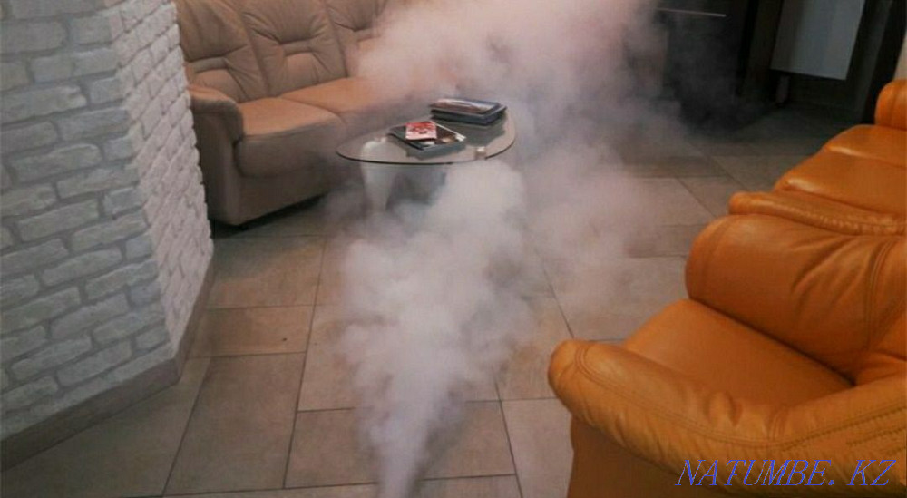 Disinfection / disinsection / deratization Kostanay - photo 3