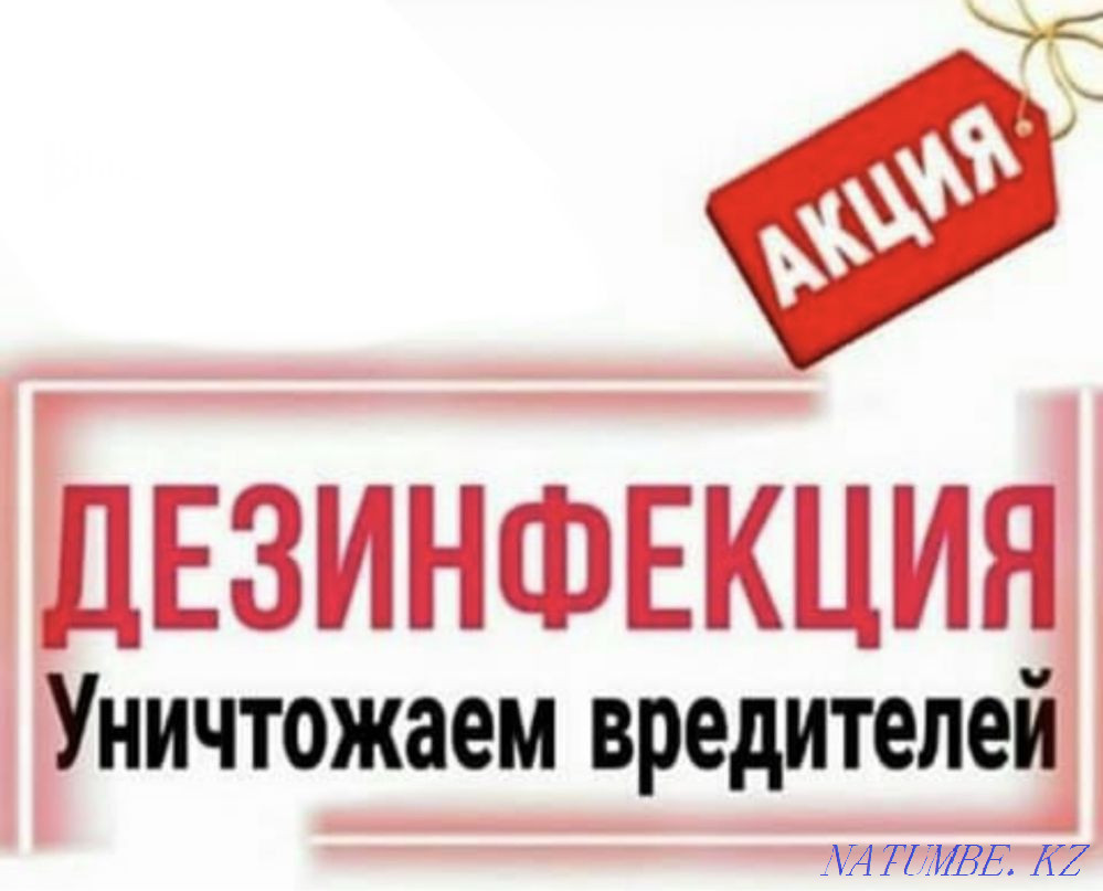 Disinfection Taraz - photo 2