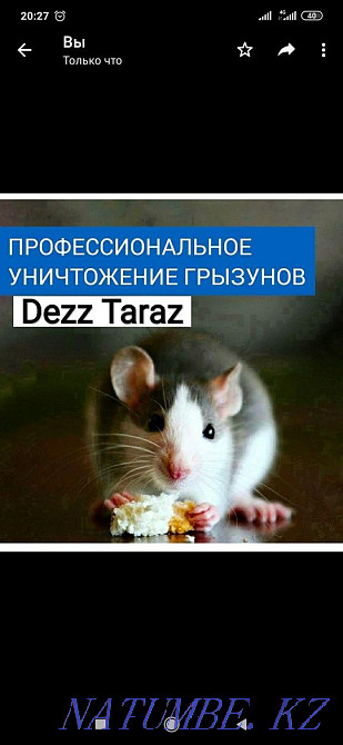 Disinfection Disinsection Taraz - photo 2