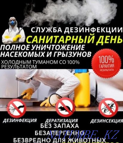 Disinfection. Destruction of the shackle cockroaches fleas bugs mice rats Almaty - photo 1