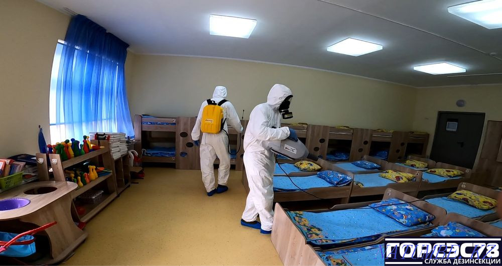 Дезинфекция, обработка, насиком, клоп, таракан Кентау - изображение 3