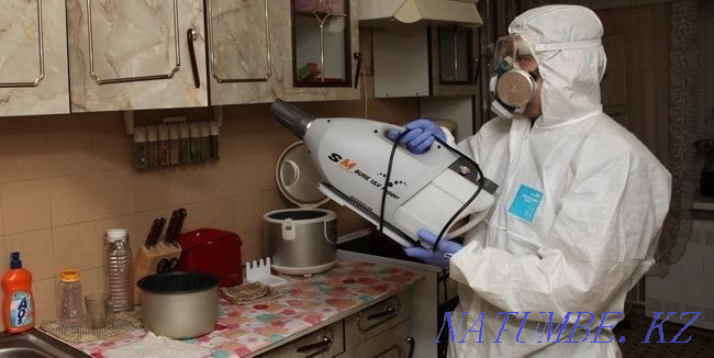 Дезинфекция, обработка, насиком, клоп, таракан Кентау - изображение 2