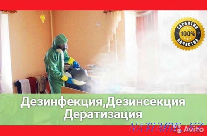 Disinfection Deratization Disinsection Almaty - photo 1